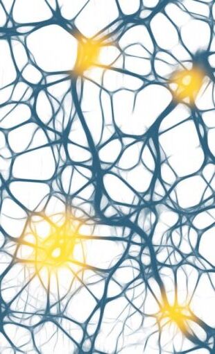 ¿Qué hacer frente a un ataque de epilepsia?