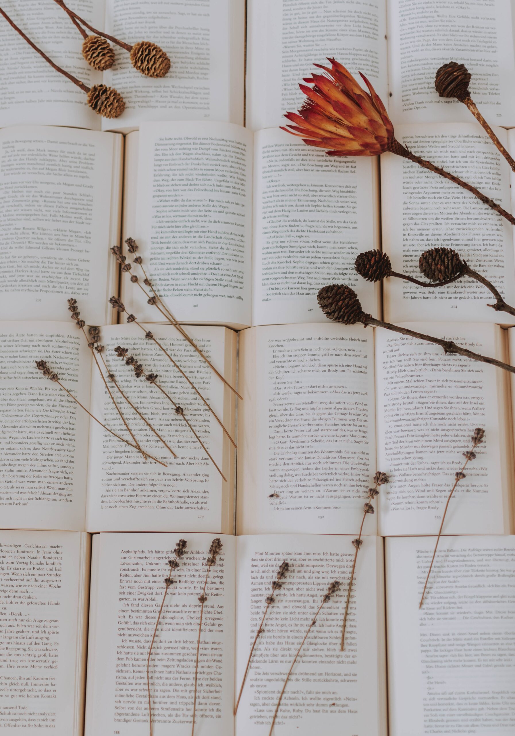 Los increíbles beneficios de la lectura, según la ciencia
